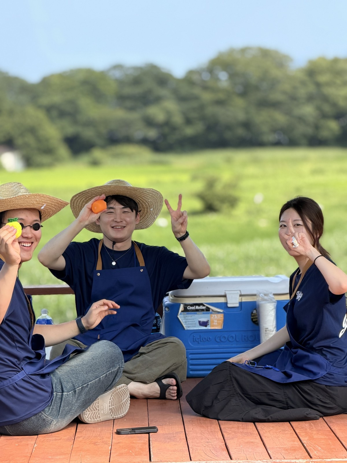 53f9264a95a050106b64cc4fb2f1e96f_1785565961_7391.jpeg